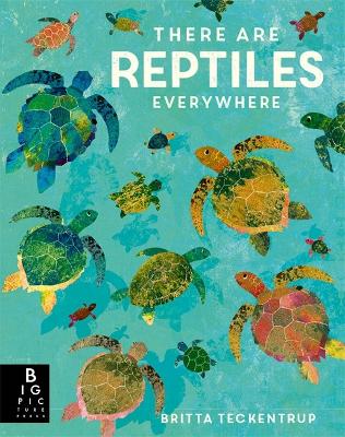 There are Reptiles Everywhere by Camilla de la Bedoyere