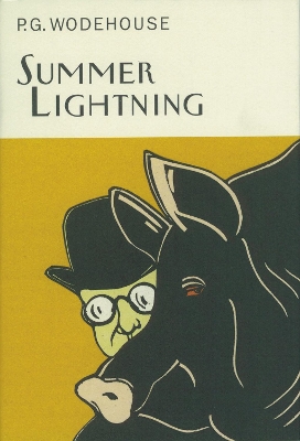 Summer Lightning book