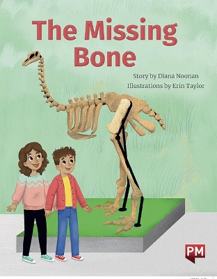 The Missing Bone book