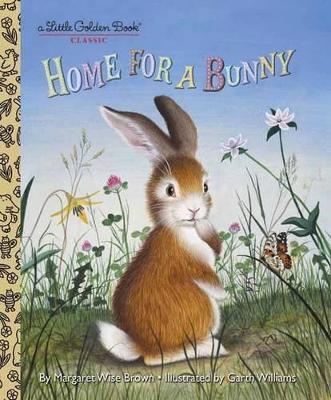 Home for a Bunny book