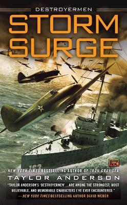 Storm Surge book