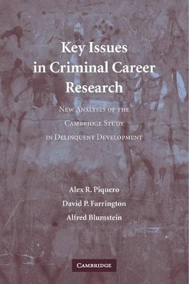 Key Issues in Criminal Career Research book