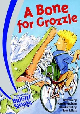 Bright Sparks: A Bone for Grozzle book