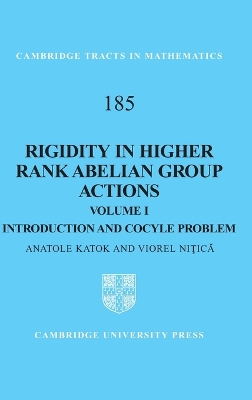 Rigidity in Higher Rank Abelian Group Actions: Volume 1, Introduction and Cocycle Problem book