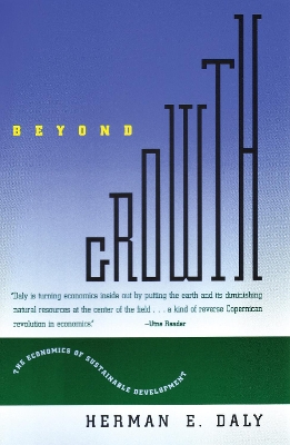 Beyond Growth book