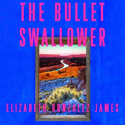 The Bullet Swallower book