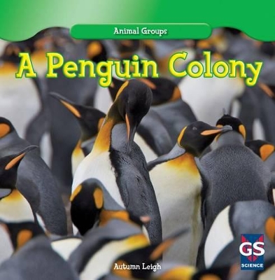 Penguin Colony by Autumn Leigh