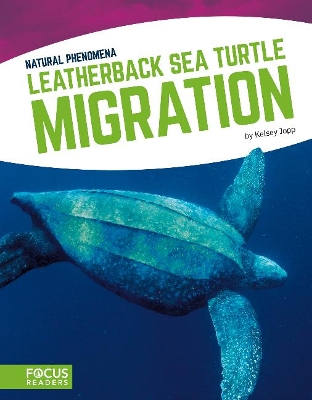 Leatherback Sea Turtle Migration by Kelsey Jopp