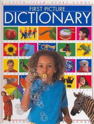 First Picture Dictionary book