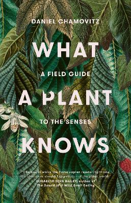 What a Plant Knows: A Field Guide to the Senses (Revised Edition) book