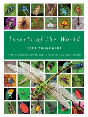 Insects of the World: A fully illustrated guide to the planet's most populous group of animals book