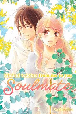 Kimi ni Todoke: From Me to You: Soulmate, Vol. 2 book