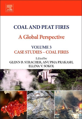 Coal and Peat Fires: a Global Perspective: Volume 3: Case Studies a`... Coal Fires book
