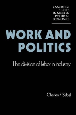 Work and Politics book