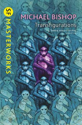 Transfigurations book