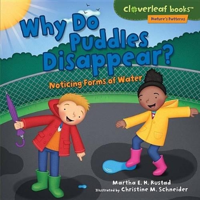 Why Do Puddles Disappear? book