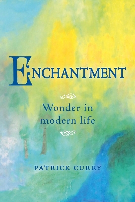 Enchantment: Wonder in Modern Life book