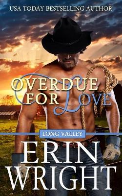 Overdue for Love: A Secret Baby Western Romance book