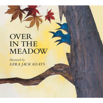 Over in the Meadow book