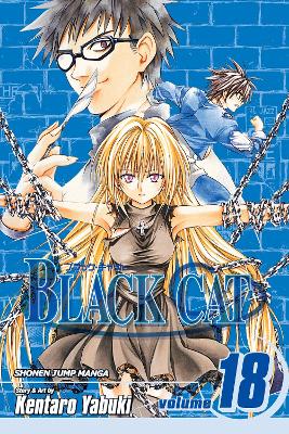 Black Cat, Vol. 18 book