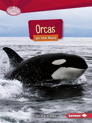 Orcas on the Hunt by Alicia Z. Klepeis