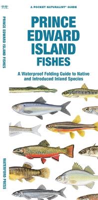 Prince Edward Island Fishes: A Folding Guide to Native and Introduced Freshwater Species book