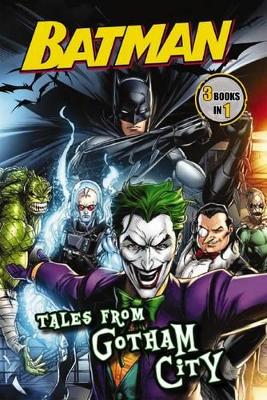 DC Batman - Tales from Gotham City book
