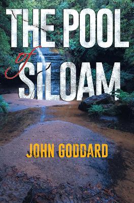 The Pool of Siloam book