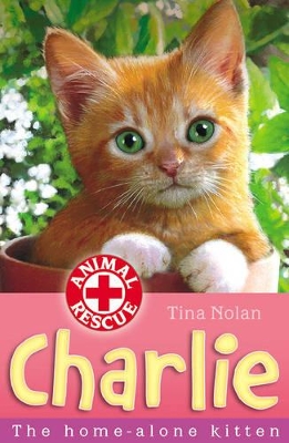 The Charlie: The Home-alone Kitten by Tina Nolan