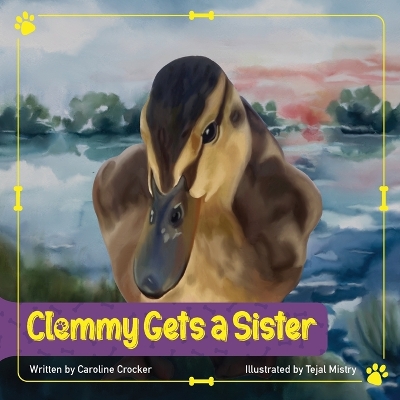 Clemmy Gets a Sister book