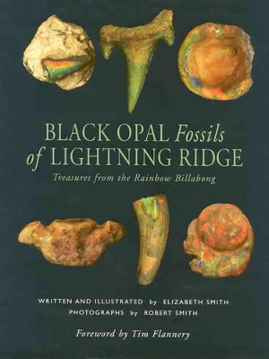 Black Opal Fossils of Lightning Ridge: Treasures from the Rainbow Billabong book