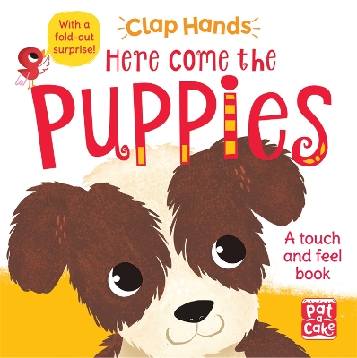 Clap Hands: Here Come the Puppies: A touch-and-feel book with a fold-out surprise by Pat-a-Cake
