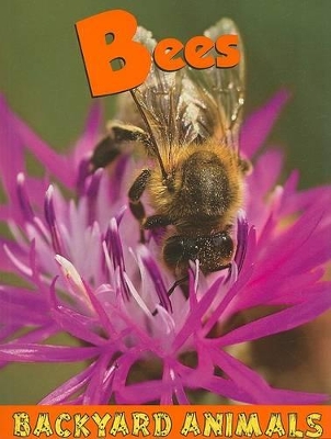 Bees book