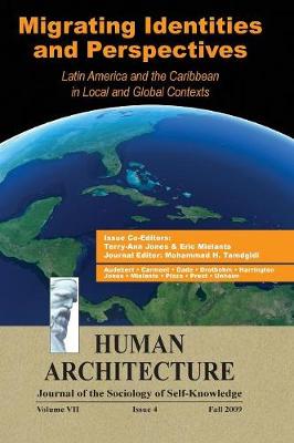 Migrating Identities and Perspectives: Latin America and the Caribbean in Local and Global Contexts by Mohammad H Tamdgidi