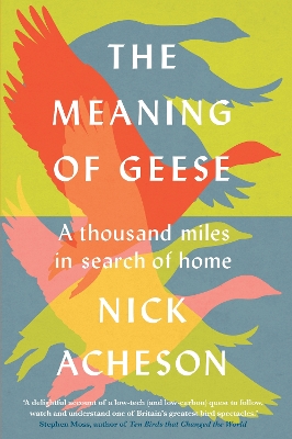 The Meaning of Geese: A Thousand Miles in Search of Home by Nick Acheson