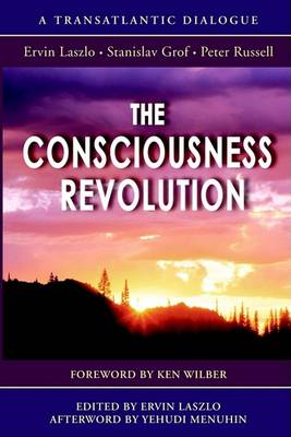 Consciousness Revolution book