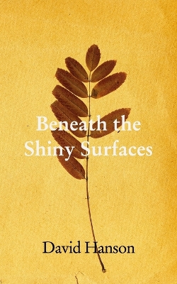 Underneath The Shiny Surfaces: Philosophical Musings book