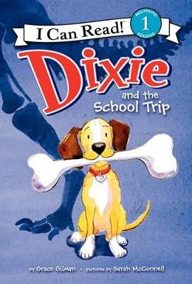 Dixie and the School Trip book