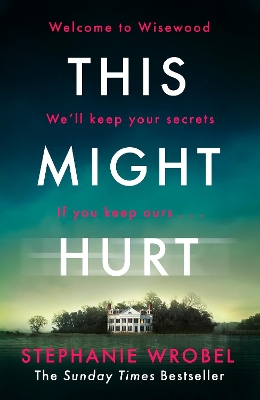 This Might Hurt: The gripping thriller from the author of Richard & Judy bestseller The Recovery of Rose Gold by Stephanie Wrobel