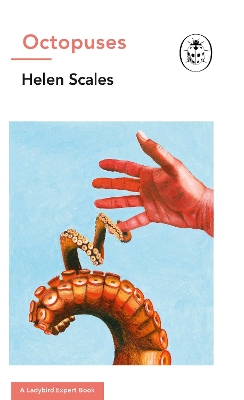 Octopuses: A Ladybird Expert Book by Dr Helen Scales