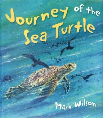 Journey of the Sea Turtle book