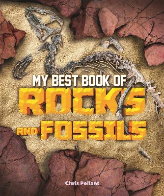 My Best Book of Rocks and Fossils book