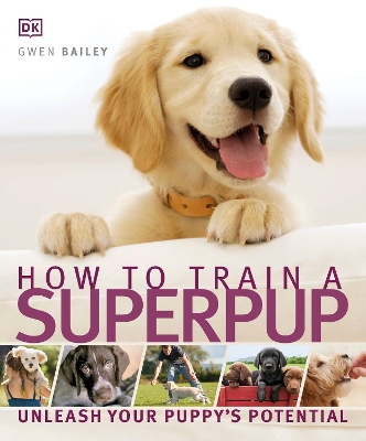 How to Train a Superpup by DK