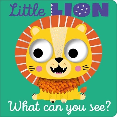 Little Lion What Can You See? book