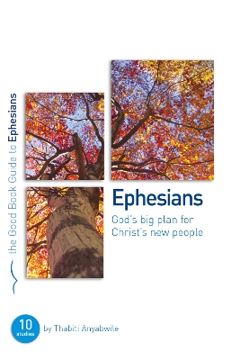 God's Big Plan for Christ's New People book