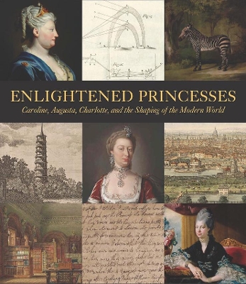 Enlightened Princesses book