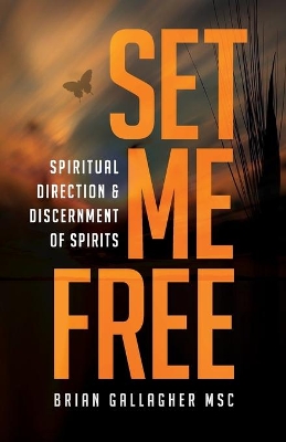 Set Me Free: Spiritual Direction & Discernment of Spirits book