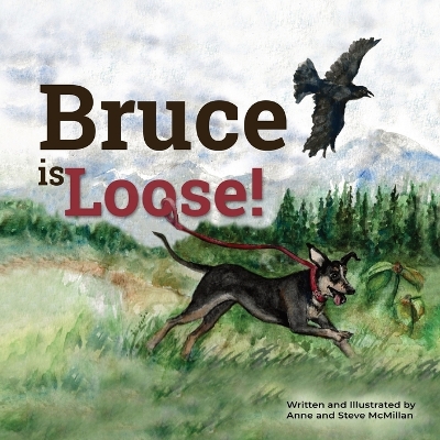 Bruce is Loose! book