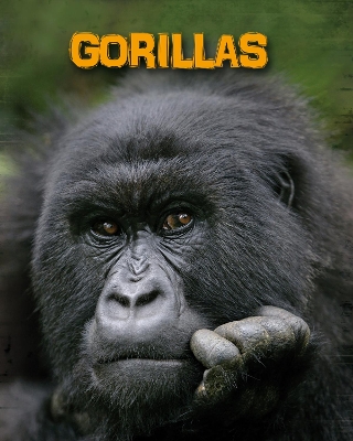 Gorillas by Lori McManus