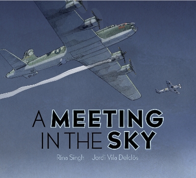 A Meeting in the Sky book